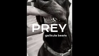 FREE Dark Trap Beat  quotPREY prodby galikula [upl. by Nyrb133]