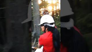 Zipline Adventure zipline adventure natureshimla holiday [upl. by Arst529]