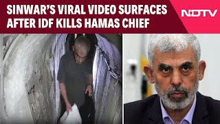 Yahya Sinwar Last Video  Yahya Sinwar’s Viral Video Surfaces After IDF Kills Hamas Chief [upl. by Ibbob]