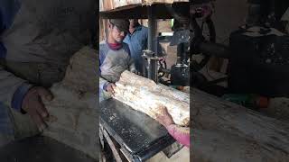 Sawmill in action 1427 [upl. by Worsham]