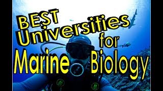 Best Universities for Marine Biology [upl. by Nomrah118]