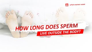 ✔ How Long Does Sperm Live Outside The Body shorts [upl. by Eikcor589]