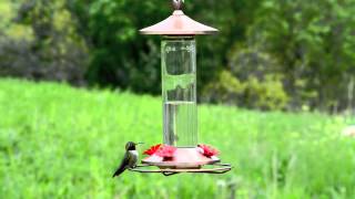 PerkyPet® Elegant Copper Glass Hummingbird Feeder [upl. by Anerev49]