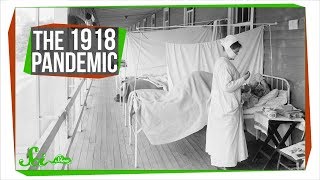 The 1918 Pandemic The Deadliest Flu in History [upl. by Nonah]