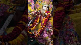 Suno Krishna Pyaare Swati Mishra Song l Krishna Bhajans In Temples Vlogs l Radhe Krishna Bhakti Song [upl. by Akfir]