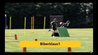 Hundesport BLV BM BJM THS in Königsbrunn CSC Läufe [upl. by Selby]