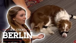 Zwischen Entführung und Erpressung Besitzerin und Hund in Gefahr  Auf Streife  Berlin  SAT1 TV [upl. by Ennyroc]