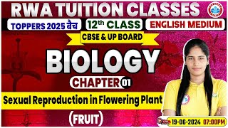 Class 12 Biology Chapter 1  Sexual Reproduction In Flowering Plant Fruit By Swabhi Mam [upl. by Meunier]