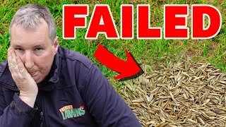 The BIGGEST mistake you can make overseeding your lawn [upl. by Croydon522]