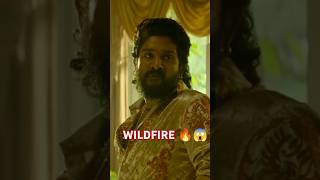 Fire Nahi Wildfire🔥  Pushpa 2 Trailer Review 😱 dailymoviesview shorts [upl. by Wappes]