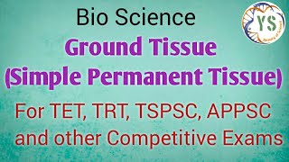 Ground Tissue  Simple Permanent Tissue  9 th Class  Bio Science  General Studies [upl. by Booze895]