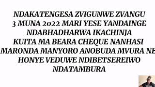 NDAKATENGESA ZVIGUNWE MUNA 2022 NANHASI MARONDA ACHIRI FRESH ANOBUDA HONYE ASI MARI ANDINA MY STORY [upl. by Neelac3]