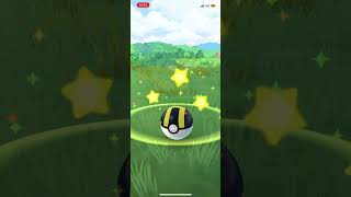 CATCHING 100 IV PASSIMIAN pokemon hundo [upl. by Hplodur]