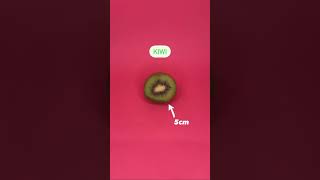 The stages of cervical dilation  A guide with fruit [upl. by Elauqsap]