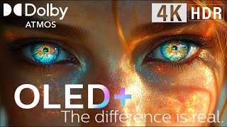 2024s Oled Demo MOST ADVANCED 4K HDR10 DOLBY ATMOS [upl. by Nnaycart581]