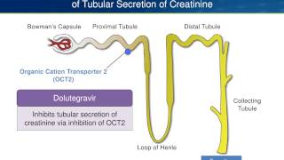 Dolutegravir Pros and Cons Are There Any Cons [upl. by Judsen843]