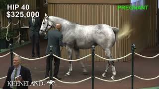 Pretty Birdie sells for 11 million at 2024 Keeneland November [upl. by Rekcut]