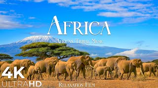 AFRICA 4K • Breathtaking Wildlife Tribal Music  Relaxation Film  Nature 4k Video UltraHD [upl. by Eibber]