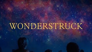 Wonderstruck Taylor Swift Chapter 1 [upl. by Kussell]