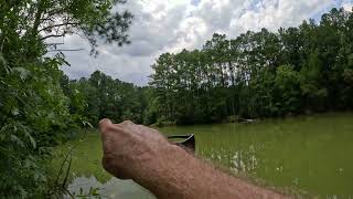 Riding Through the Francis Marion National Forest [upl. by Uos]