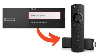 The EASY Way to Find Developer Options on a FirestickFire TV [upl. by Nnaeus]