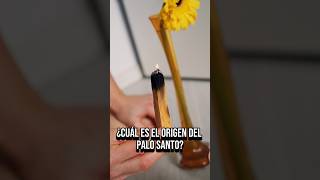 😯Te Sorprenderá quien creó el PALO SANTO 🌲 palosanto sanacion magia [upl. by Notlih727]