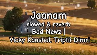 Jaanam Slowed amp Reverb Vishal Mishra  Bad Newz  Vicky Kaushal Triptii DimriBass boosted [upl. by Euginom]