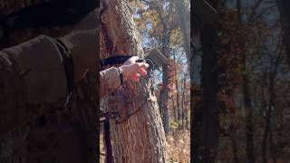 Solar panel set ups moultrie whitetails hunting trailcameras bowhunting [upl. by So]