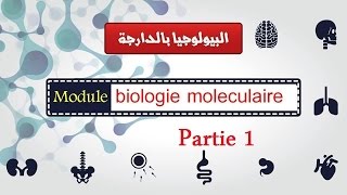 Biologie moléculaire partie 1 ADN et ARN et ribosomes quoteucaryote et procaryotequot البيولوجيا بالدارجة [upl. by Refinnaej224]