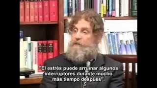 Robert Sapolsky El problema con la testosterona y otros ensayos sobre la condición humana [upl. by Sisto413]