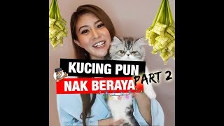 KUCING PUN NAK RAYA PART 2 [upl. by Neelav]