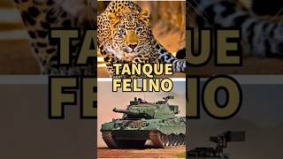 🔥El NACIMIENTO del LEOPARD 1🐾 documental historia ww2 guerra [upl. by Lida]