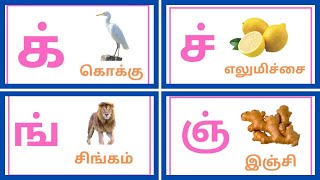 மெய் எழுத்துக்கள்  mei yeluthukkal  Letters kids with fun learning [upl. by Conn928]