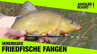 Angeln am Vereinssee  Friedfische einfach fangen  RUTE amp ROLLE Classic  Anglerboard TV [upl. by Ynohtnaleahcim776]