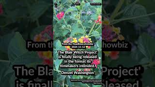 The Blair Witch Project as intended Denzel Washington in Black Panther 3 Sam BankmanFried movie [upl. by Anirad]