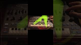 Сheetah by Aphex Twin on Roland mc202 shorts [upl. by Atinra593]