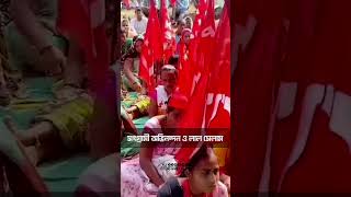 মহারাষ্ট্রের দাহানুতে জয়ী CPIM প্রার্থী বিনোদ নিকোলে। সংগ্রামী অভিনন্দন ও লাল সেলাম cpim shorts [upl. by Lello836]