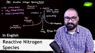 Reactive Nitrogen species  RNS  Antimicrobial Chemicals  CSIRNET Exam  Basic Science Series [upl. by Notrom622]