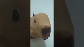 Capivara capybara funny animals music animal [upl. by Heigl]