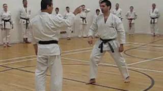 kagawasensei demonstrates yamazuki from the kata Bassaidai [upl. by Cirone]