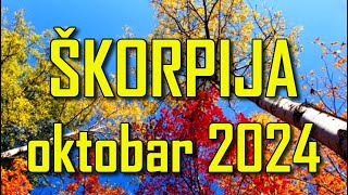 ŠKORPIJA  Horoskop za OKTOBAR 2024 [upl. by Wileen]