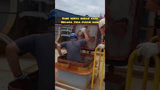 Emang boleh muat kacang kedelai setelah muat batubara di kapal [upl. by Dionis]