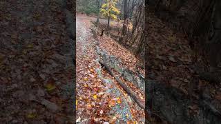 landslide took the shoulder of Roseboro road chiefsholsters helene helendamage hiking wnc [upl. by Winograd]