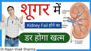 Diabetic Nephropathy  Sugar में Kidneys को बचाने के उपाय  DrRajan Vivek Sharma  Hindi [upl. by Brigida]