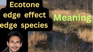 ecotoneecotone meaningecotone and edge effectecotone in hindi ecotone kya haiecotone upsc [upl. by Nagard456]