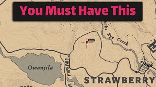 A very important item that you must obtain as soon as possible  RDR2 [upl. by Ahsitahs]