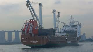 Amsterdams Maritime Marvels Ship Spotting Extravaganza  BULK CARRIER  TANKER  BIG SHIP  CARGO [upl. by Breeze657]