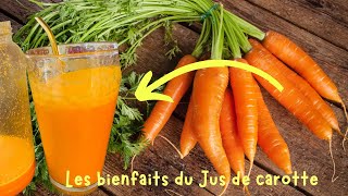 Les bienfaits du jus de carotte 🥕 [upl. by Acinehs126]