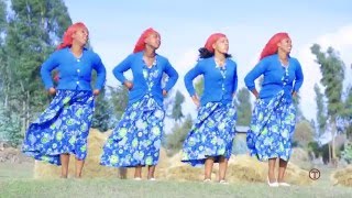 NEW oromo music DAWITE MEKONEN WASANEE 2016 [upl. by Mar]