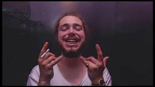 Post Malone – Patient Acapella [upl. by Topping]